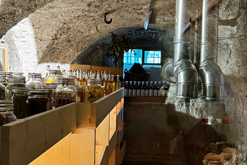 Impressionen Jahresversammlung 2024 in Stans