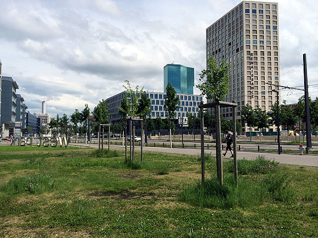 GSK Jahresversammlung 2015