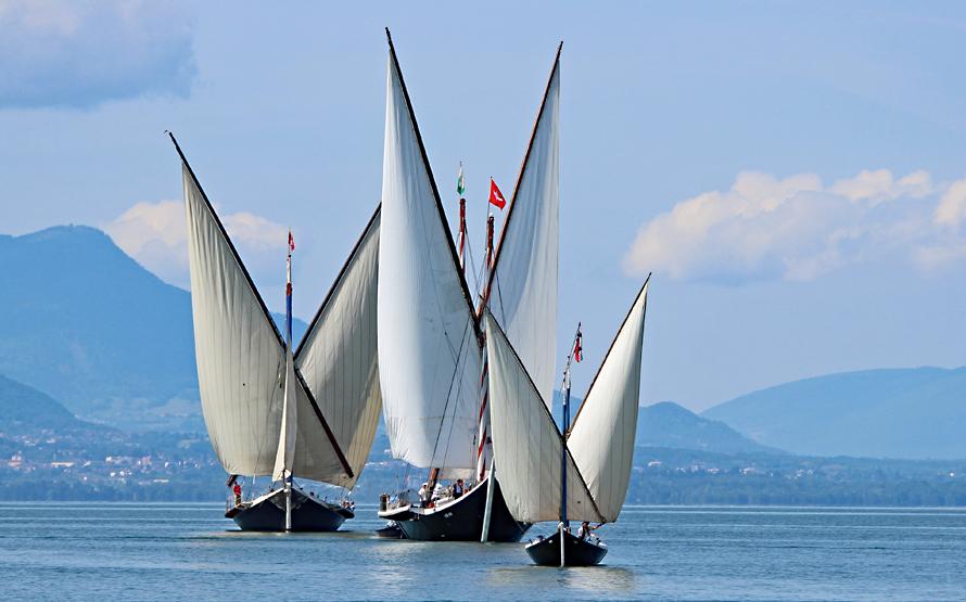 Les voiles latines du Léman : entre passé et renouveau